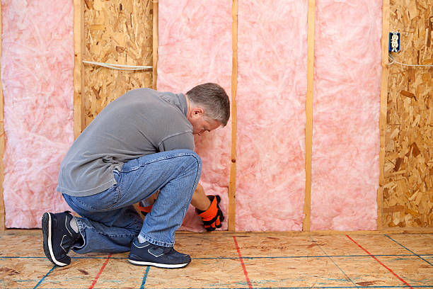 Best Insulation Installation Services in Hampton, MD